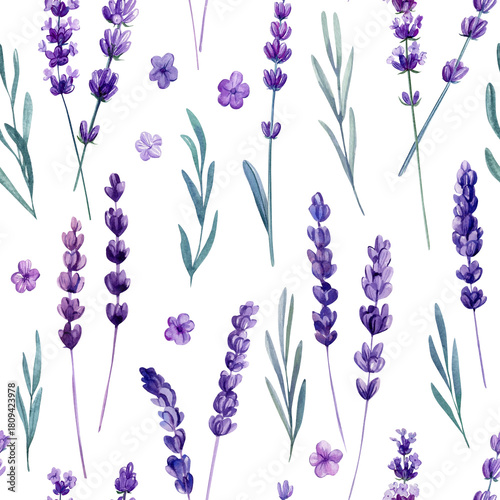 Lavender flowers pattern purple blossoms watercolor botanical seamless design natural packaging fabric and elegant spring decor
