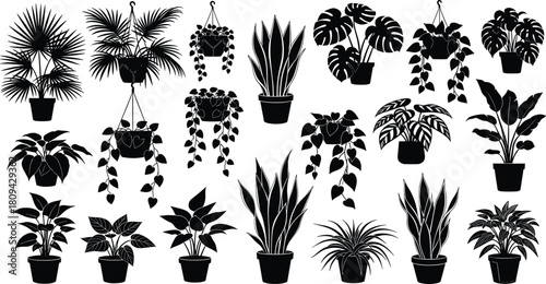 Set of diverse black potted plant silhouettes, vector illustration of indoor houseplants including monstera and snake plant, isolated on white background.