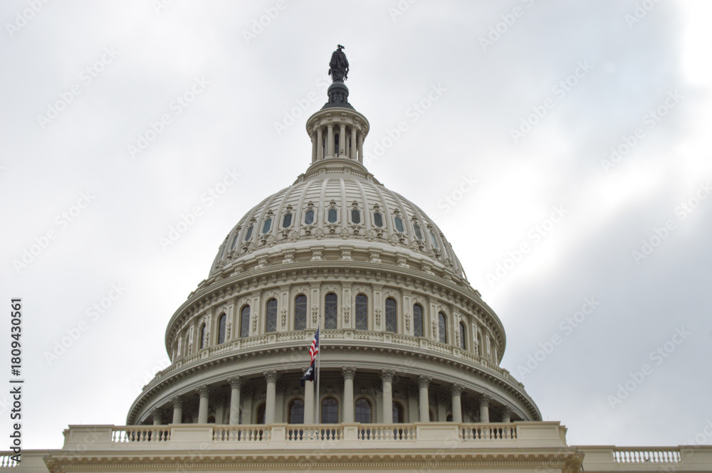 Fototapeta premium The United States Capitol Building in Washington DC famous Historic Landmark in USA.