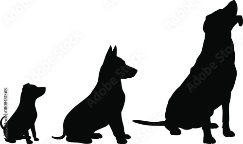 Silhouette set of three dogs sitting in different sizes, growth stages from puppy to adult, vector illustration isolated on white