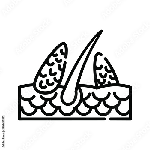 Seborrheic dermatitis on scalp with dandruff isolated on