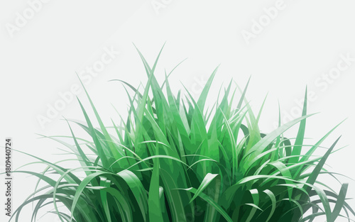 Close up of vibrant green grass blades against a clean white background