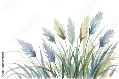 Watercolor illustration of pampas grass plumes and leaves on a white background
