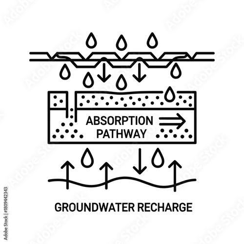Groundwater recharge and absorption pathway diagram water cycle concept
