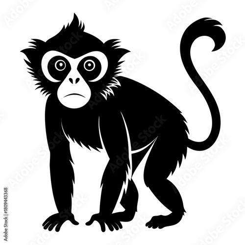 Gibbon vector clean black silhouette design white background