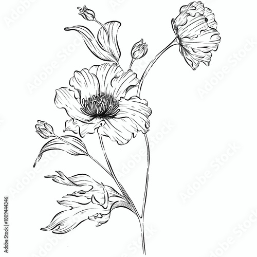 A hand-drawn sketch illustration of a flower with leaves, perfect for design project requiring an organic, natural touch or botanical elements