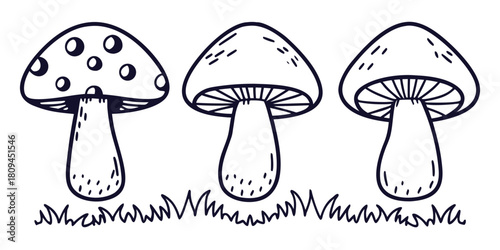 Three cartoon mushrooms stand in the grass with simple line art.