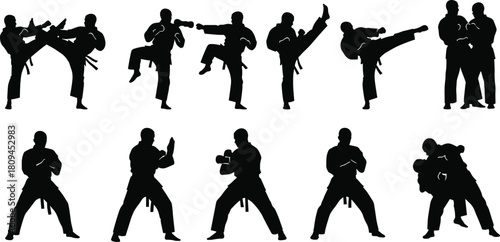 Set of karate and taekwondo fighter silhouettes, black vector image of men training, performing high kicks, punches, and combat poses, isolated on white background.