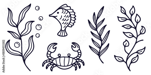 A collection of hand-drawn aquatic elements including a fish, crab, seaweed, and plants.