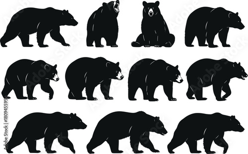 Vector Collection of Large Wild Bear Silhouettes Walking, Sitting, and Roaring Illustrating Various Poses of Forest and Grizzly Wildlife Animals