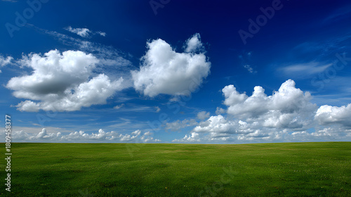 Fototapeta Naklejka Na Ścianę i Meble -  Bright green field under blue sky dotted with white summer clouds