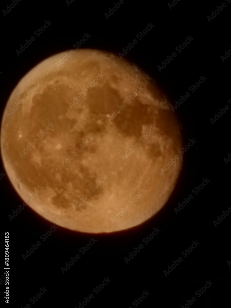 Fototapeta premium moon