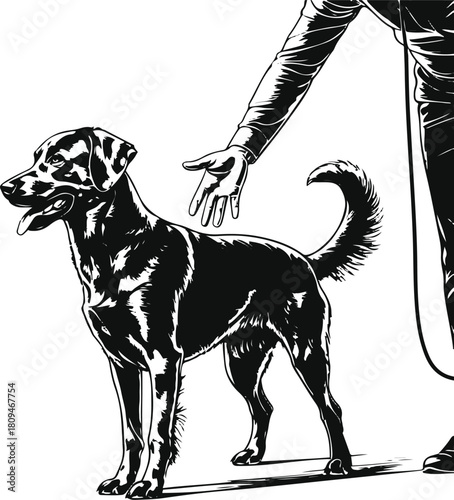 Dog practicing obedience training with trainer’s hand signal, minimalist black line art, clean vector on white background 1