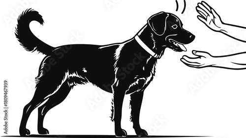 Dog practicing obedience training with trainer’s hand signal, minimalist black line art, clean vector on white background