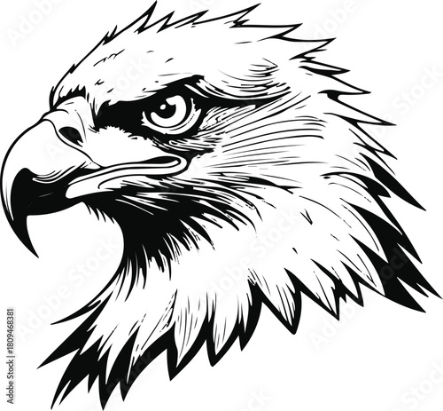 Eagle head profile line illustration, sharp beak and detailed feathers with thin black lines, isolated vector on white 1