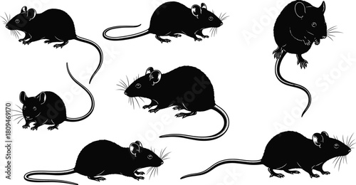 “Detailed black silhouette illustration of multiple mice in various poses, showcasing animal behavior, wildlife design elements, rodent collection artwork for creative vector projects, minimal style”