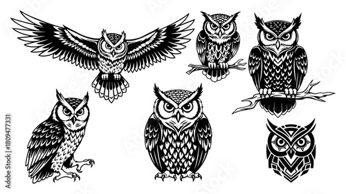 Collection of Hand Drawn Vector Owl Illustrations featuring Flying and Perching Birds