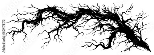 Spooky Gnarled Dead Tree Branch with Twisted Roots and Bark Texture