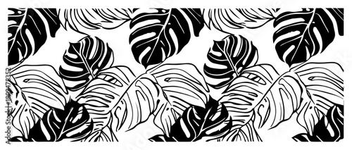 Decorative Hand Drawn Vector Pattern of Tropical Monstera Leaves and Jungle Foliage