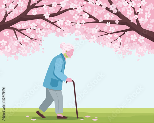 Woman walking beneath cherry blossoms with walking stick, enjoying springtime. Woman walking and viewing spring flowers creates peaceful scene, depicting vitality and life.