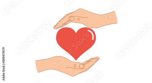 A simple and caring illustration of two hands gently protecting a red heart symbolizing love charity and health care concepts.