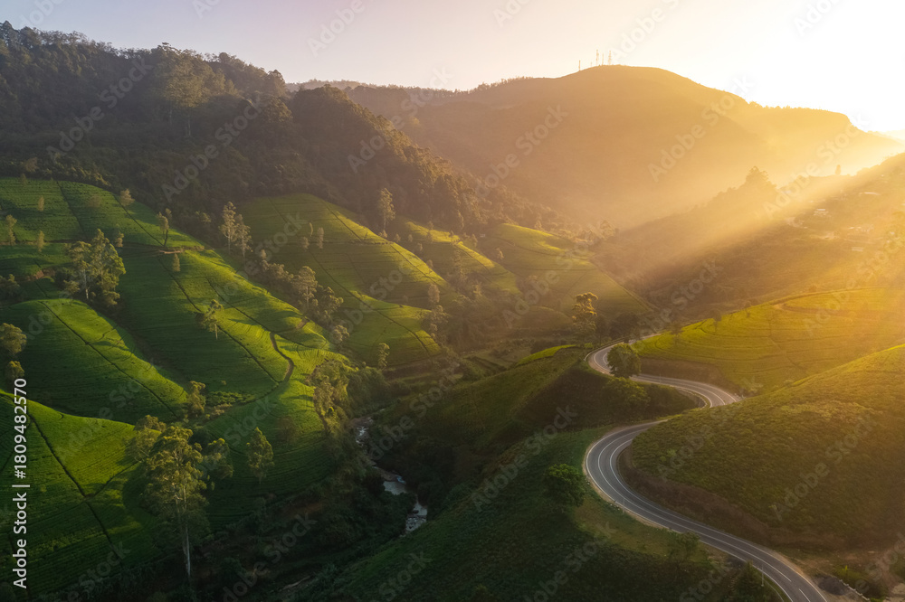 Obraz premium Aerial view of road in green meadows at sunset in summer. Top view from drone of