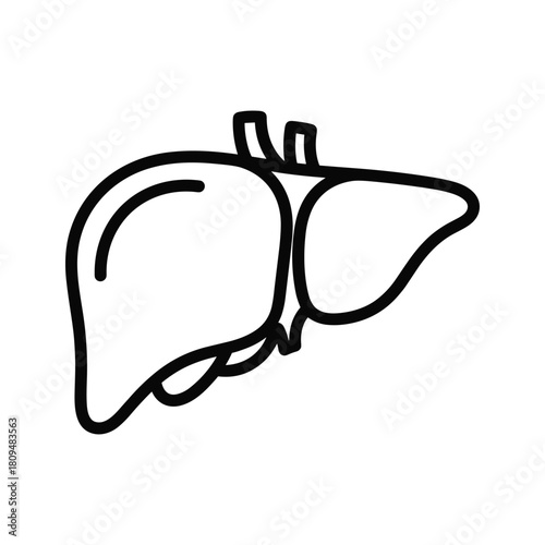 Illustration of a human liver isolated on, an important organ for detoxification