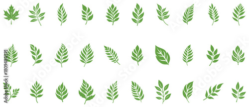 Green Leaf icon shape fresh flat vector design.