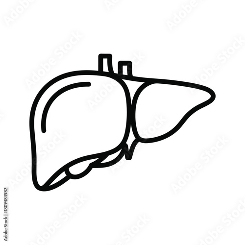 Liver icon showing human organ for medical and health isolated on