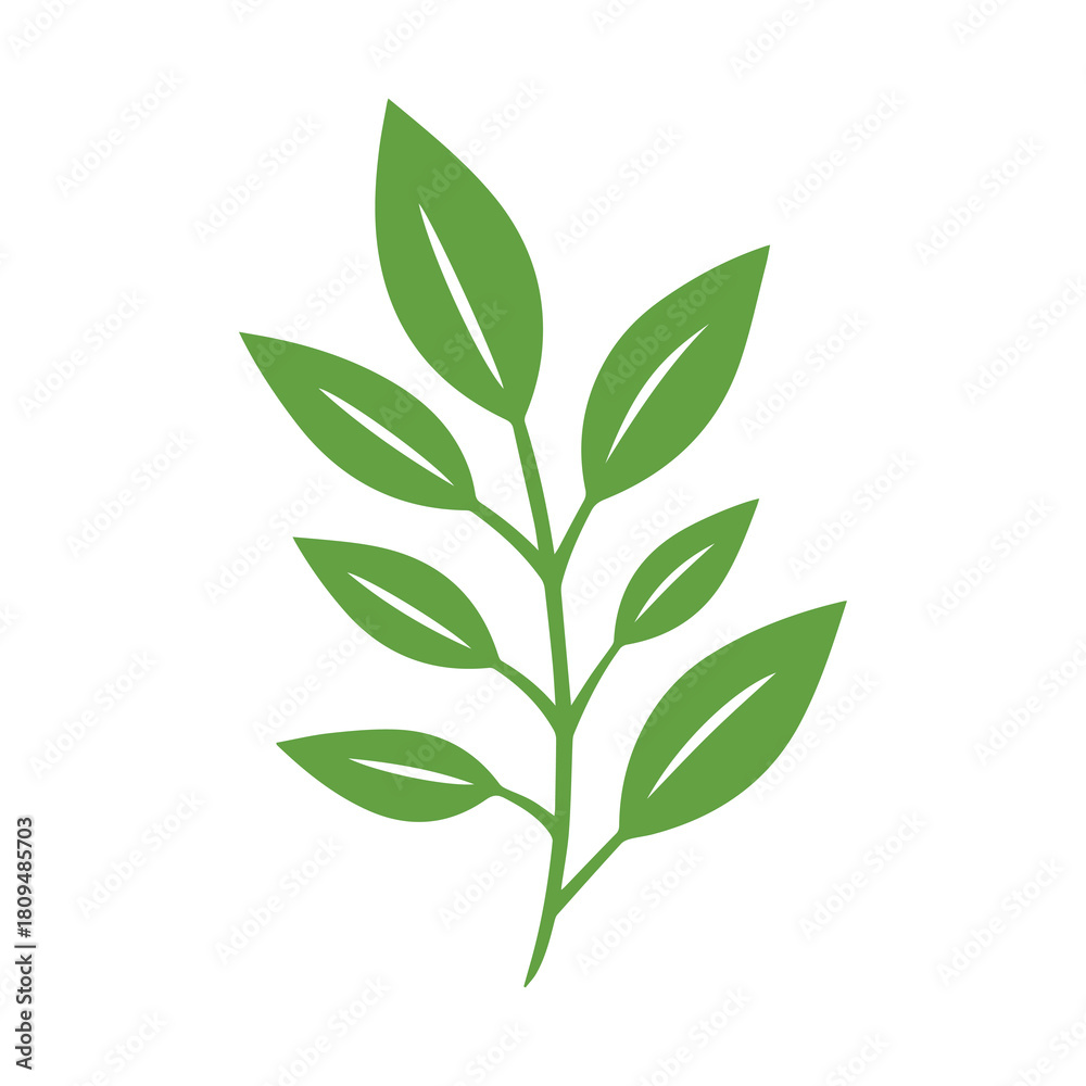 Fototapeta premium Green Leaf icon shape fresh flat vector design.