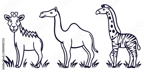 A giraffe, a camel, and a zebra stand in a line on grassy ground.