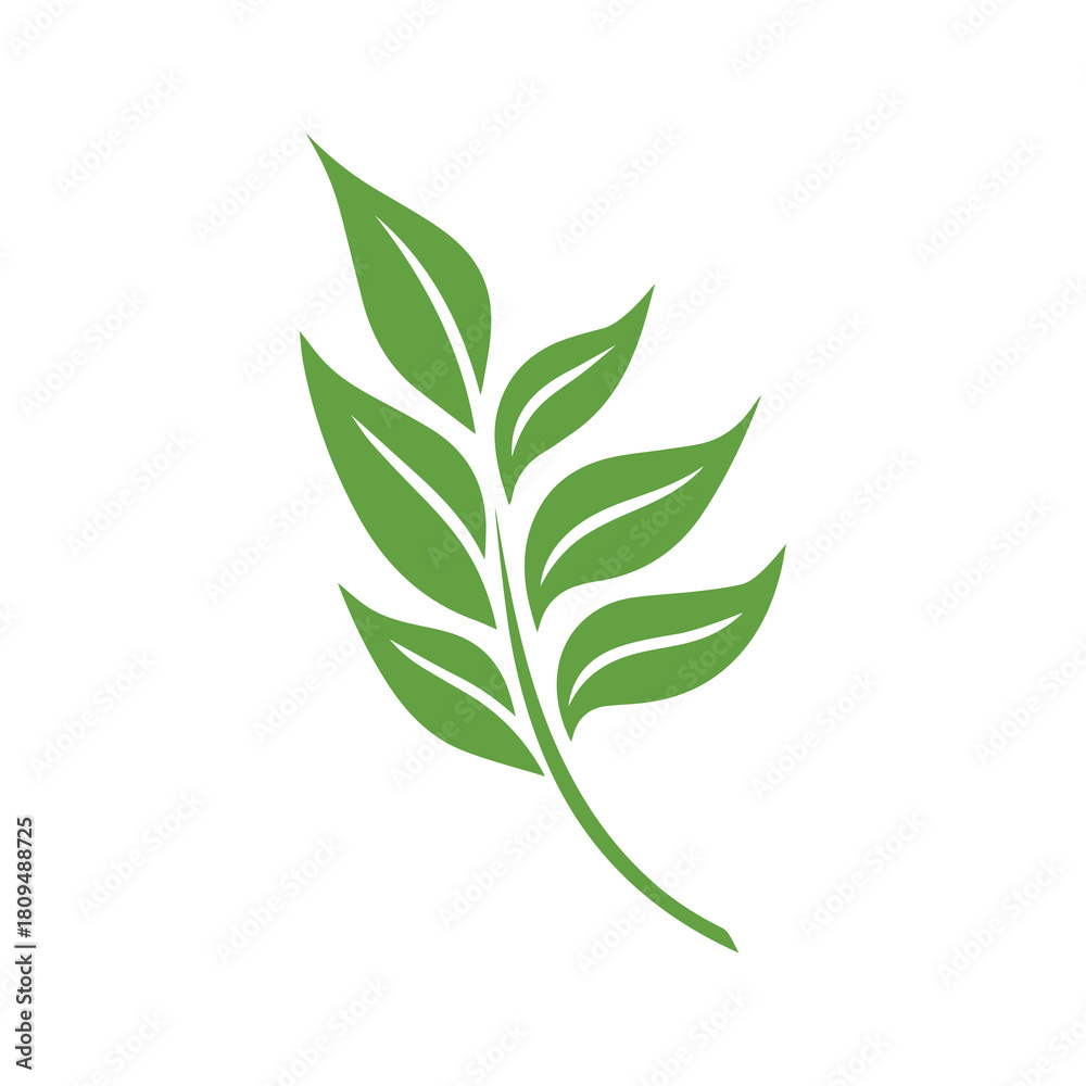 Fototapeta premium Green Leaf icon shape fresh flat vector design.