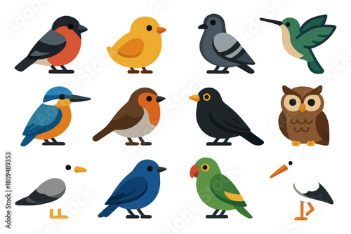 Colorful assorted bird illustrations in various poses and styles.