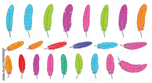 A vibrant collection of colorful feathers arranged in neat rows and clusters