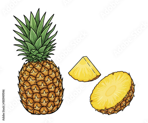 Pineapple Vector Illustration, Whole Tropical Fruit and Yellow Slices Isolated on White Background