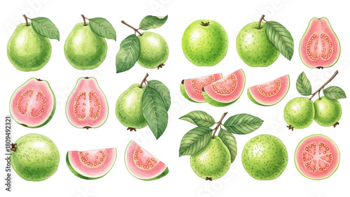 A collection of whole, halved, and sliced green guavas with pink flesh and leaves, isolated on a transparent background.