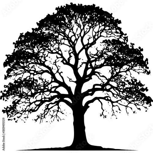 Download black tree silhouette vector image for free nature background art