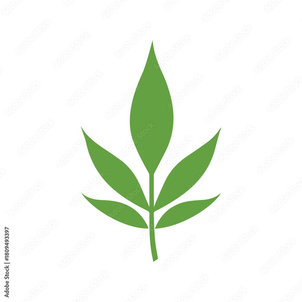 Naklejka premium Green Leaf icon shape fresh flat vector design.