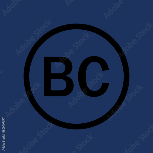 BC BITCRO REVIEWS VECTOER