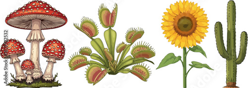 Collection of unique plants and mushrooms illustrated in a clean style