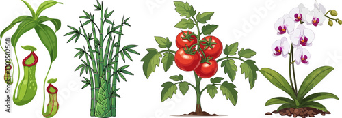 Assorted plants and flowers including carnivorous pitcher plants and orchids