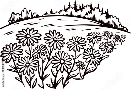 Wildflower meadow with blooming daisies in front of rolling hills and distant trees, hand drawn illustration