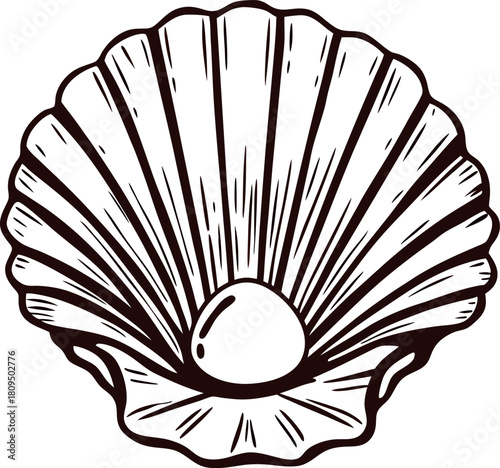 Engraved illustration of open seashell with round pearl inside isolated on white background in vintage
