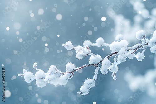 Close up of a snow covered tree branch with a soft blue background and falling snow bokeh effect