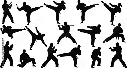 Black Silhouette Set of Diverse Martial Arts Practitioners in Various Dynamic Fighting and Training Poses Including Kick, Punch, and Weapon Use on White Background