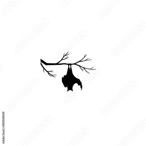 Bat hanging on branch