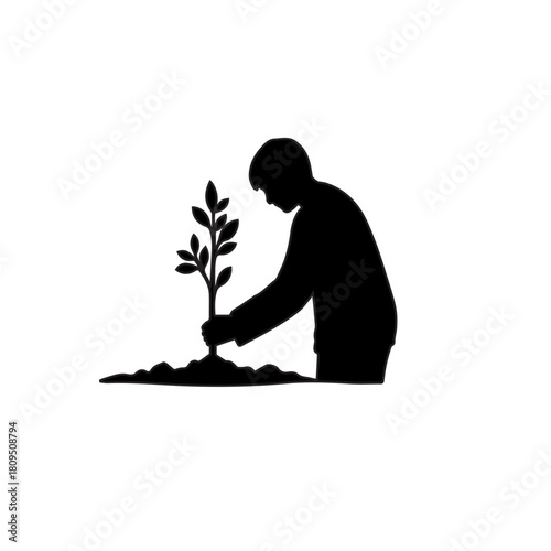 Person planting a sapling