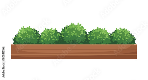 A long rectangular wooden planter box filled with neatly trimmed lush green bushes for garden or street decoration.