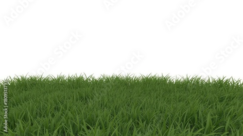 Fototapeta Naklejka Na Ścianę i Meble -  Lush green grass texture for backgrounds, landscaping, and nature scenes