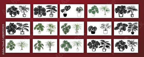 A watercolor illustration showcasing an assortment of tropical foliage. The composition features various types of leaves, including Monstera, banana leaves, ferns, palm fronds, and heart-shaped leaves